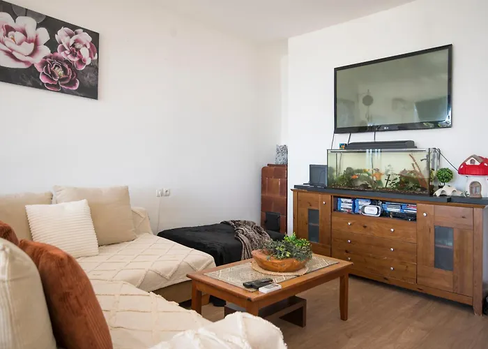 Apartament Sea View Centar Xxl *